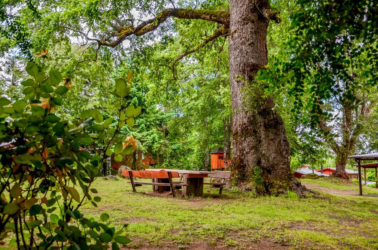 Cabanas Aylen Hotel Pucón Buitenkant foto