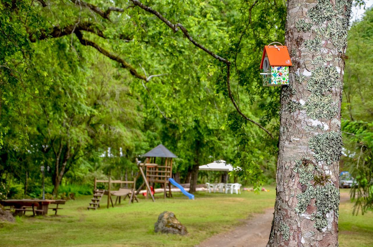 Cabanas Aylen Hotel Pucón Buitenkant foto